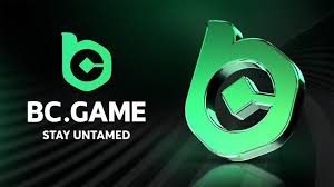 Exploring BC.Game Mirrors Accessing the Future of Online Gaming
