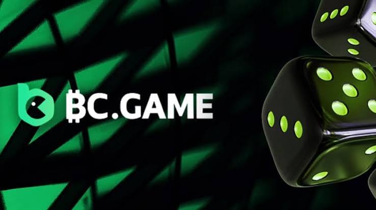 Exploring the BC.Game Mobile App A Comprehensive Guide