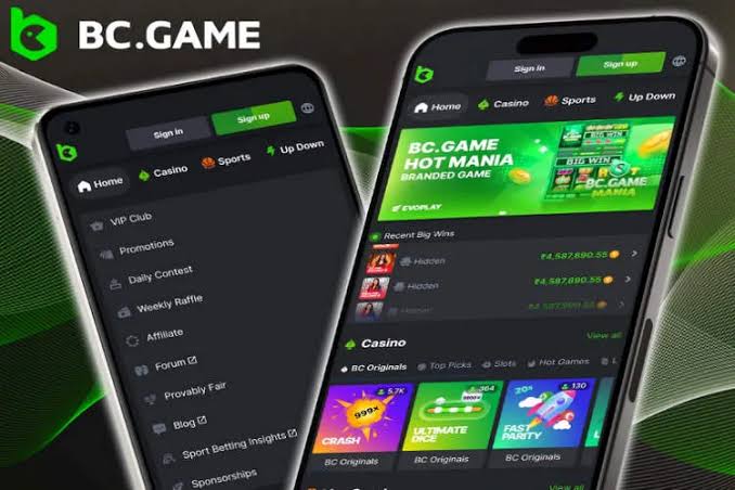 Exploring the BC.Game Mobile App A Comprehensive Guide