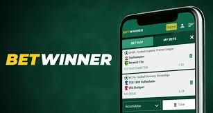 Step-by-Step Guide to BetWinner Sign In Process -821273230